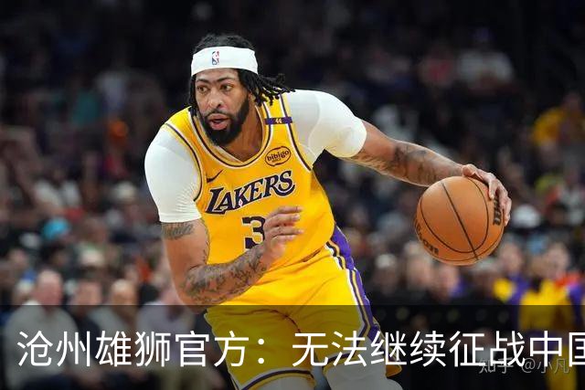 沧州雄狮官方：无法继续征战中国足球职业联赛
