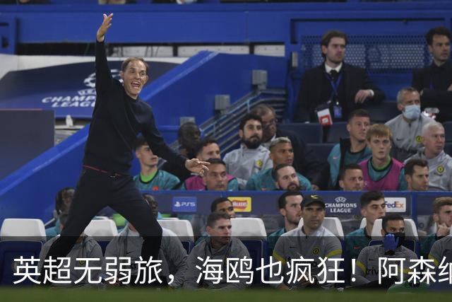 英超无弱旅，海鸥也疯狂！阿森纳3球惨败，拉亚成了远射背景板
